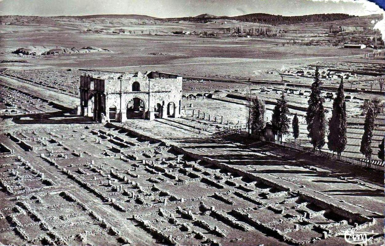 ALGERIE-RUINES ROMAINES DE LAMBESE (7).jpg